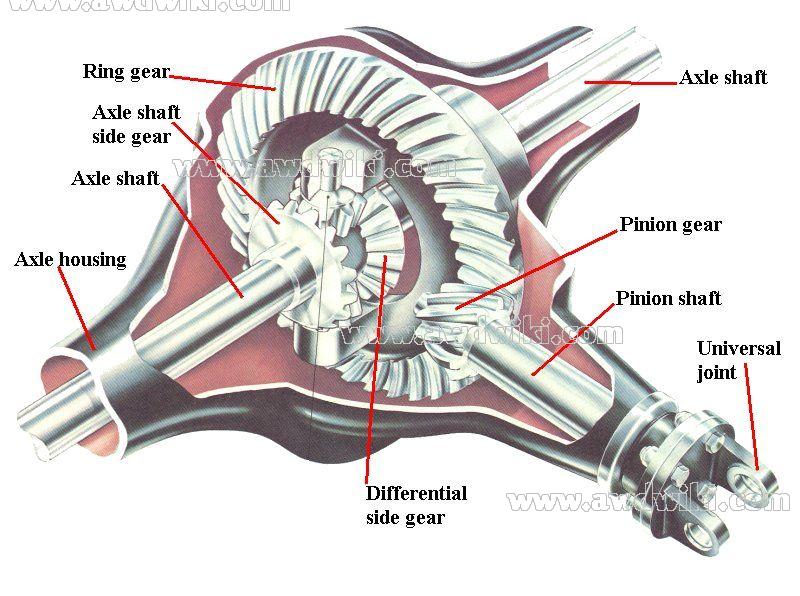 Differential Gear Diagram